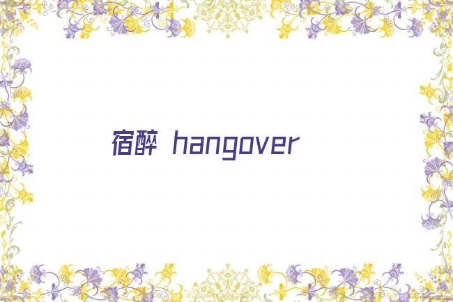 宿醉 hangover剧照